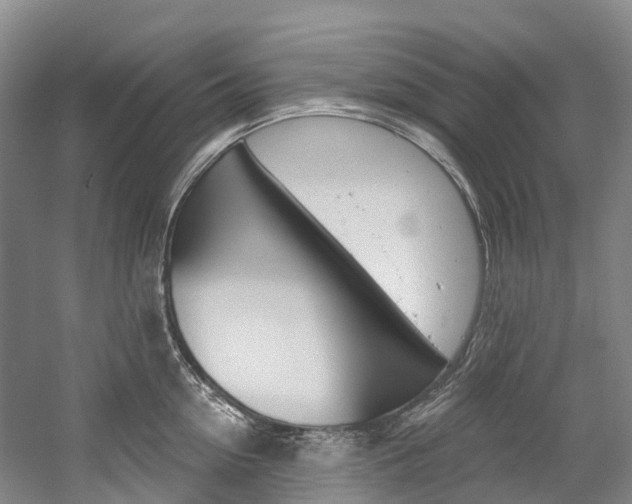 X0000058810954200509300937