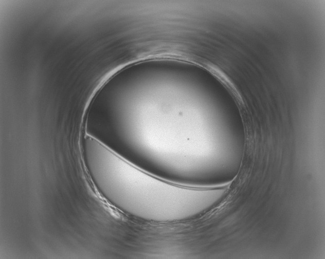 X0000058810956200509300937