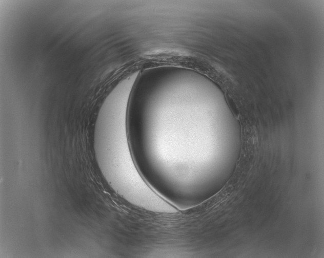 X0000058810965200509300936
