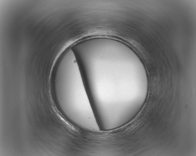 X0000058810982200509300936