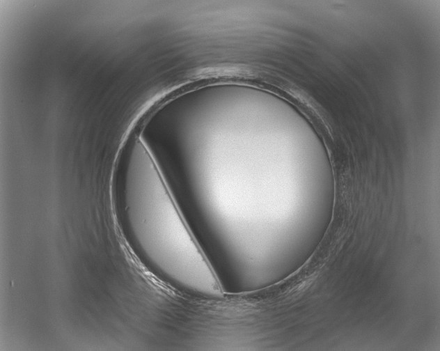 X0000058810983200509300936