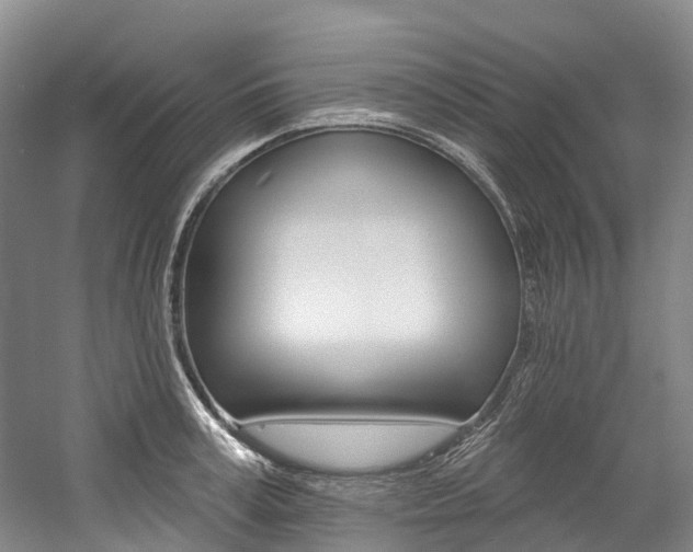 X0000058810995200509300935