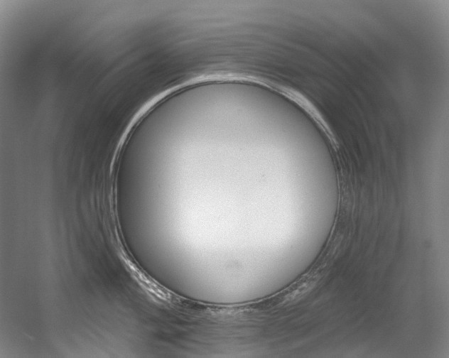 X0000058811004200509300935