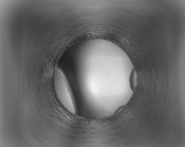 X0000058811009200509300934