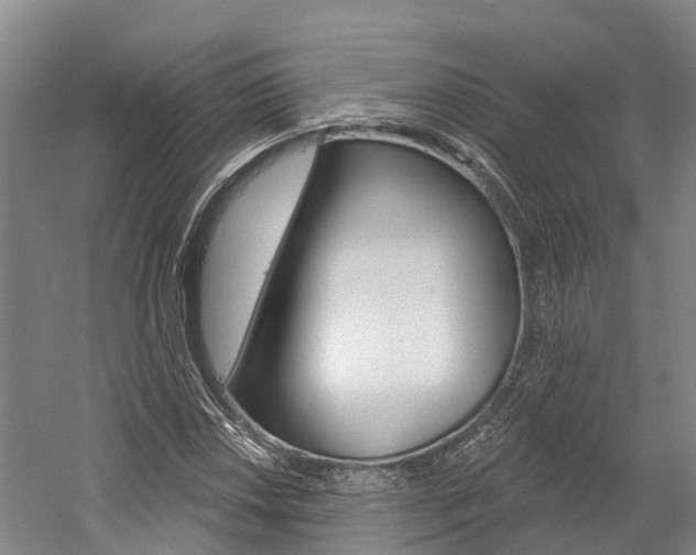X0000058811018200509300934