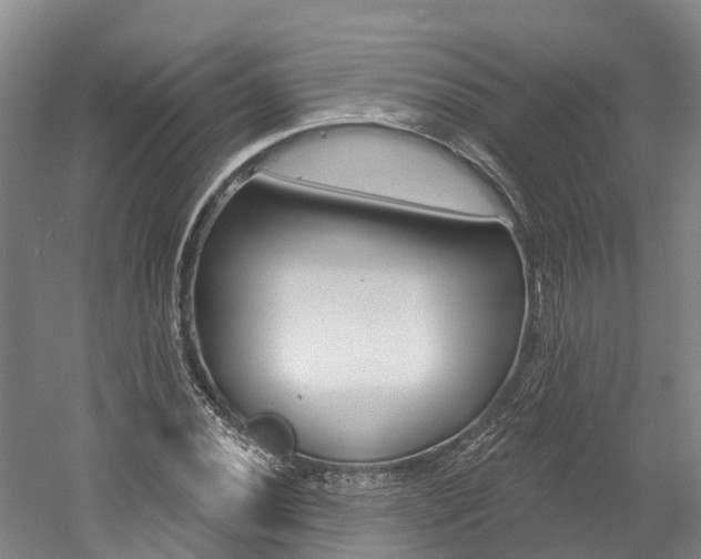 X0000058811020200509300935