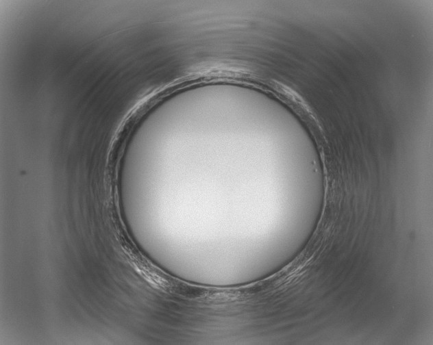 X0000058811027200509300935