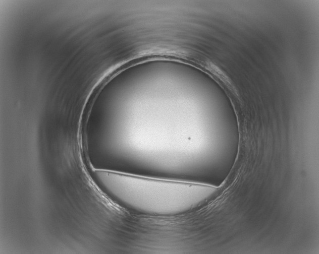 X0000058811028200509300935