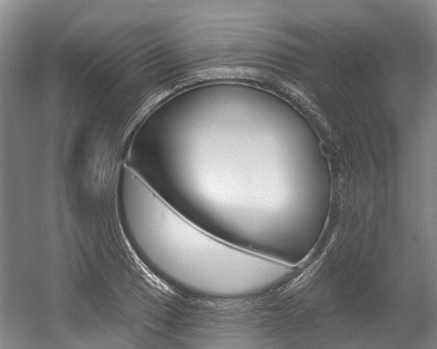 X0000058811033200509300935