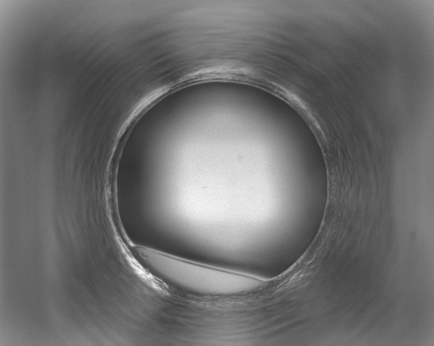 X0000058811042200509300935