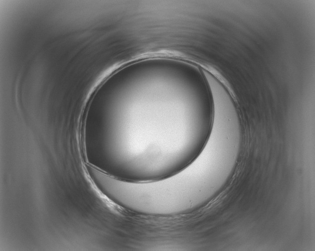 X0000058811054200509300935