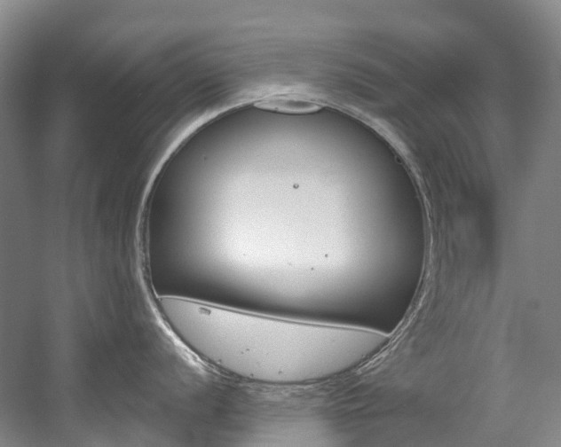 X0000058811056200509300935