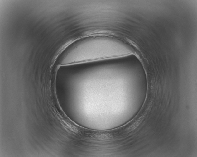 X0000058811066200509300934
