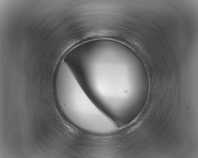 X0000058811073200509300934