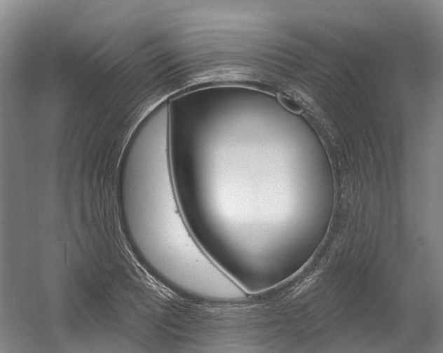 X0000058811081200509300934