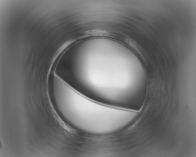 X0000058811082200509300934