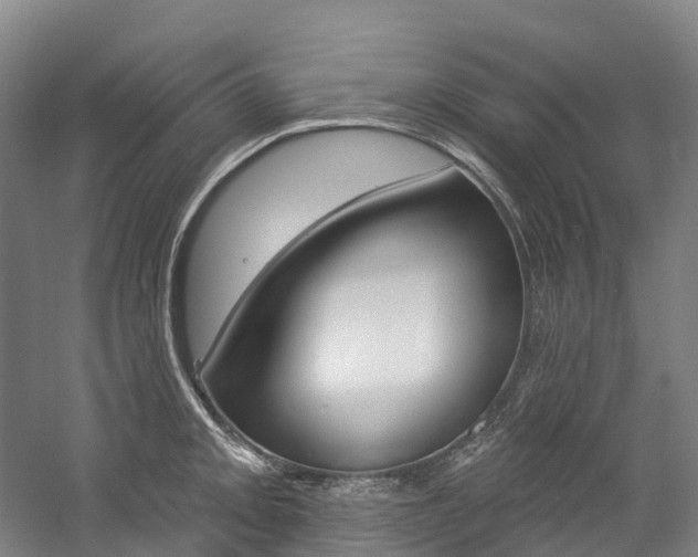 X0000058811093200509300934