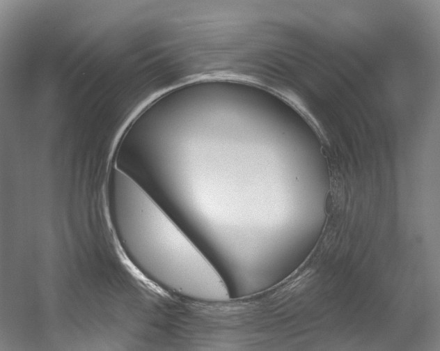X0000058811100200509300934