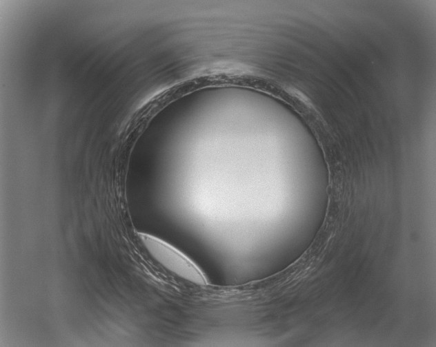 X0000058811112200509300933