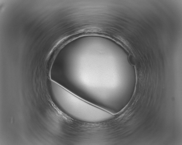 X0000058811115200509300933