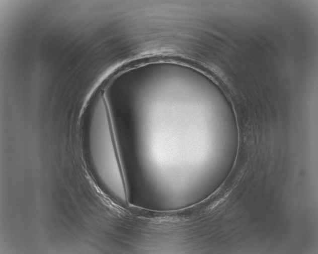 X0000058811118200509300933