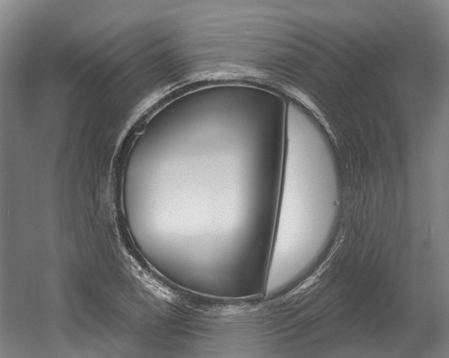 X0000058811122200509300933