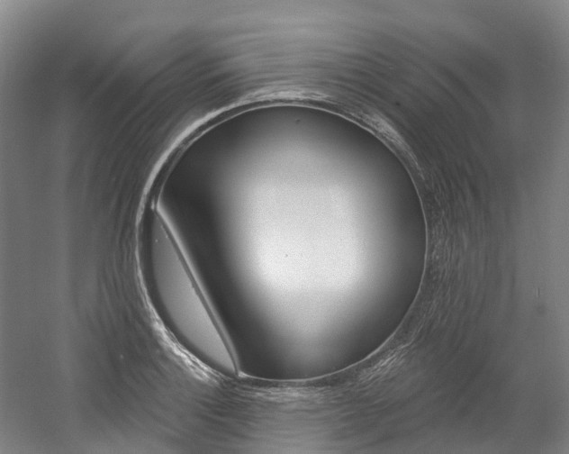 X0000058811132200509300933