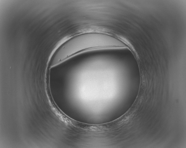 X0000058811138200509300933