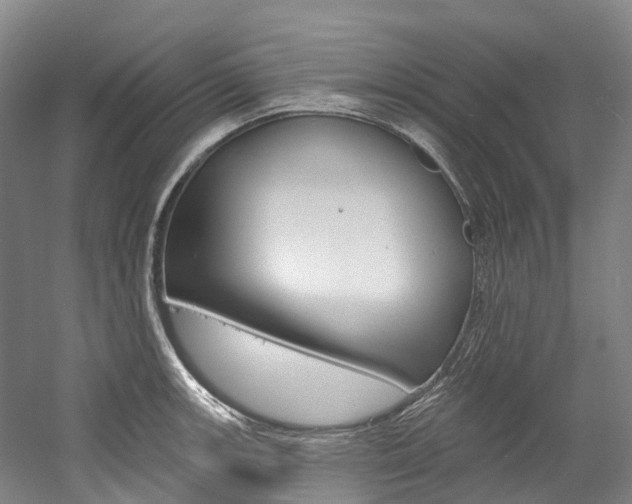 X0000058811139200509300933