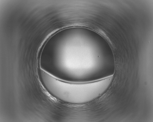 X0000058811140200509300933