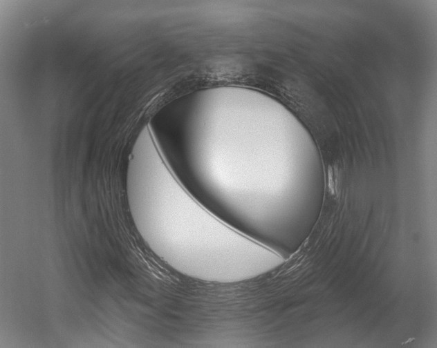 X0000058811155200509300933