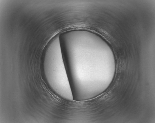 X0000058811162200509300933
