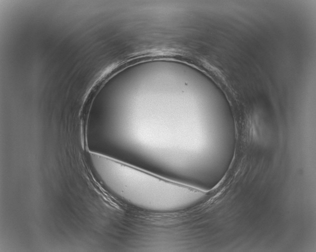 X0000058811171200509300932