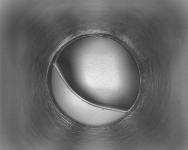 X0000058811173200509300932