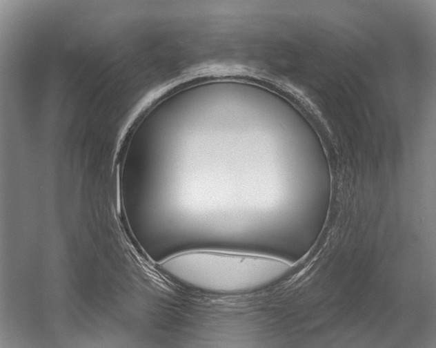 X0000058811175200509300932