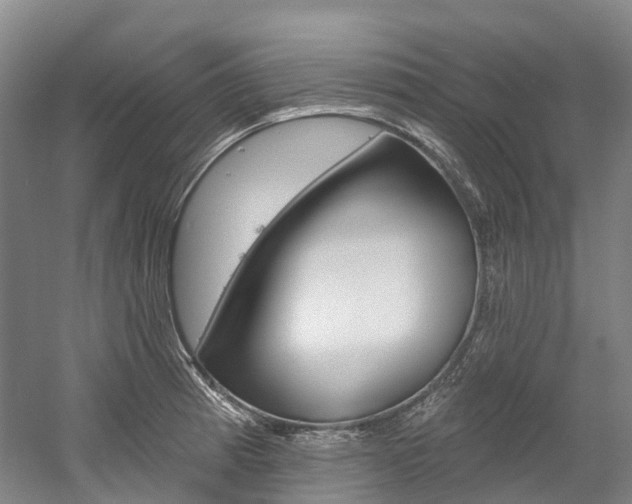 X0000058811185200509300932