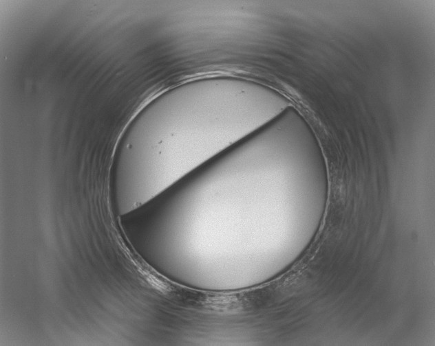 X0000058811186200509300932