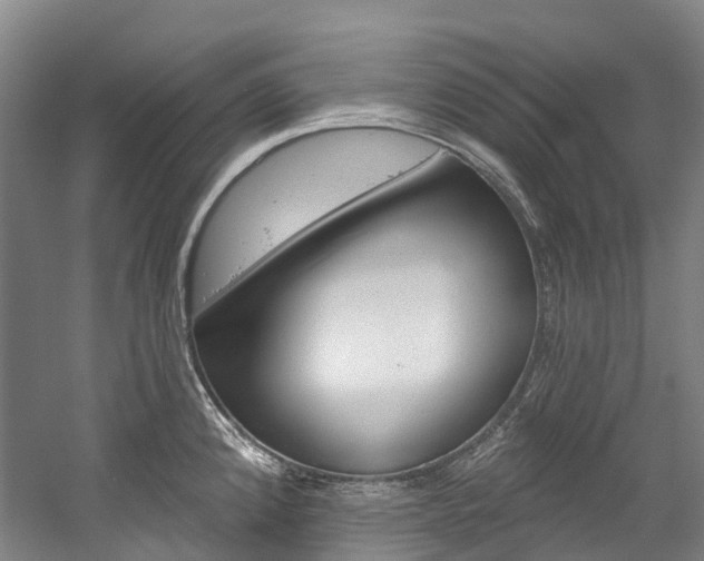 X0000058811192200509300932