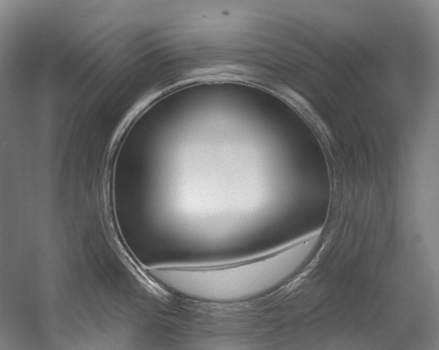 X0000058811196200509300932