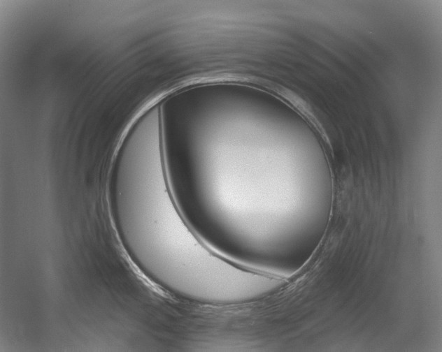 X0000058811197200509300932