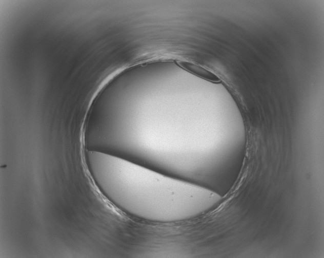 X0000058811198200509300932