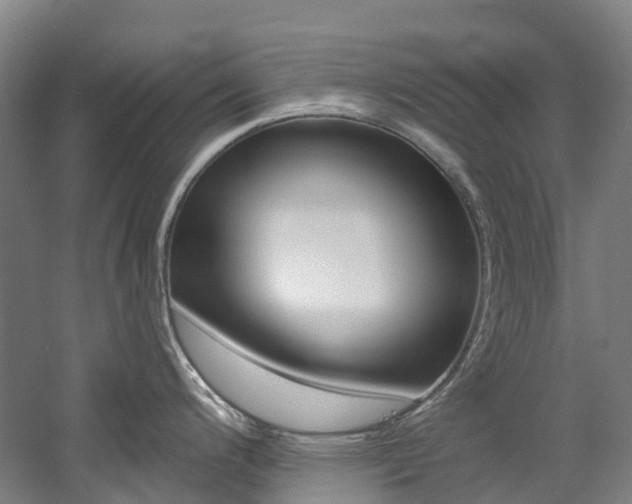 X0000058811200200509300932