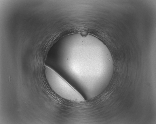 X0000058811201200509300931