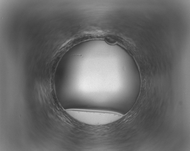 X0000058811205200509300931
