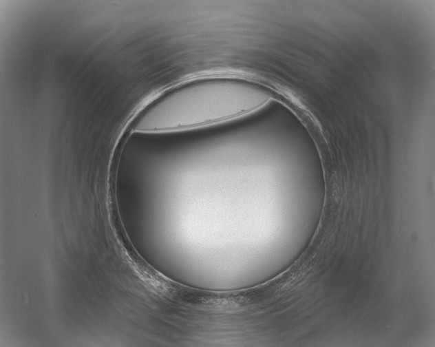 X0000058811229200509300932