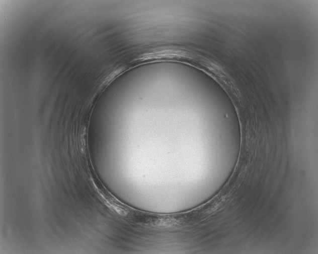 X0000058811233200509300932