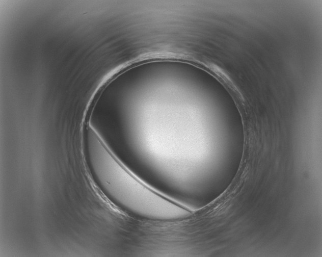 X0000058811238200509300932