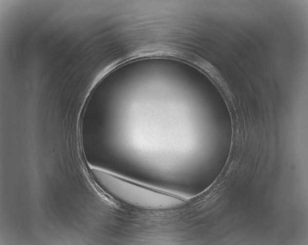 X0000058811242200509300932