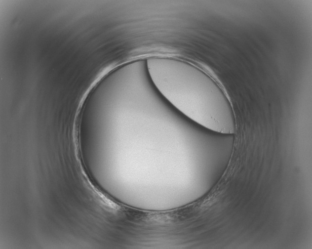 X0000058811243200509300932