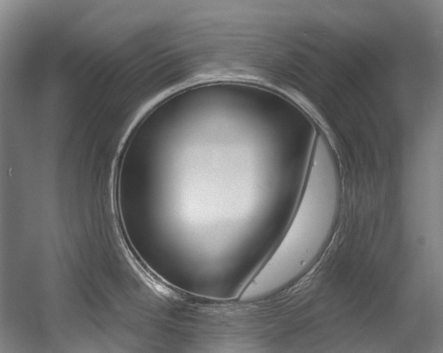 X0000058811246200509300932